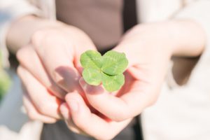 もしも、宝くじが当たったら…。