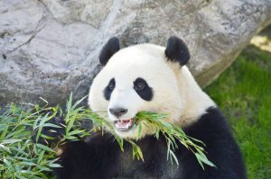 衣食住だけで生きていけるのか？