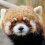 目をそらさないで。