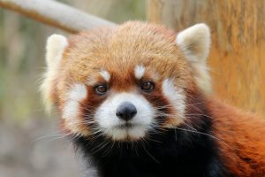 目をそらさないで。