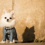 会計は、馬子にも衣裳?