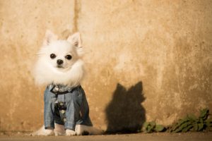 会計は、馬子にも衣裳?