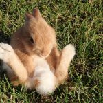 カチカチかも…。