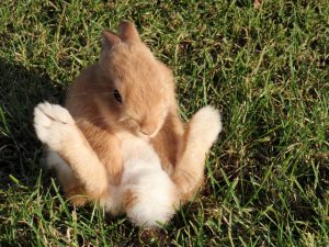 カチカチかも…。