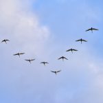 99%、経営者の覚悟。